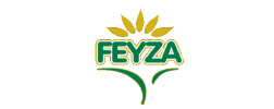 feyza