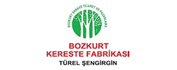 Bozkurt